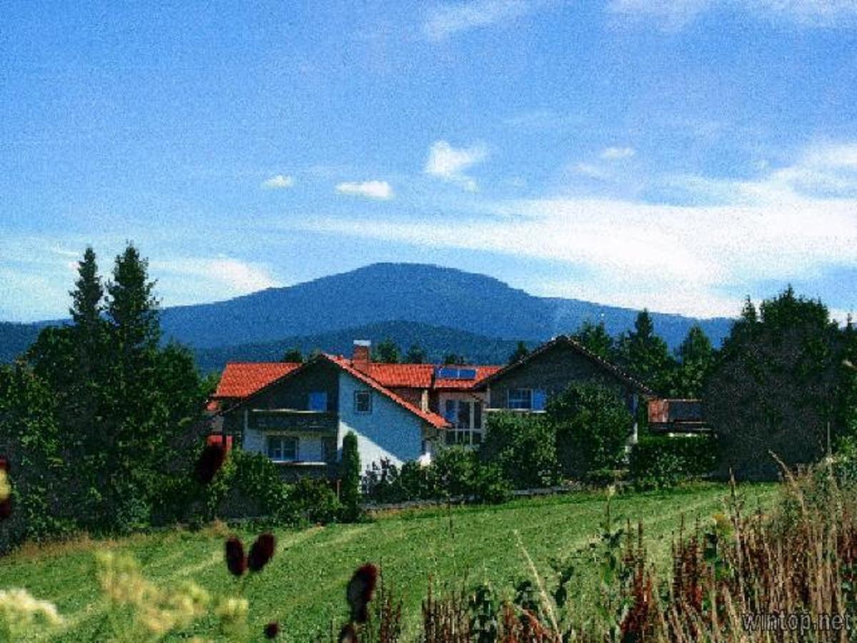 Pension Landhaus Hochfeld Цвизель Экстерьер фото